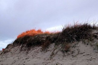 Haus Pole Poppenspäler I Whg 06