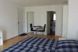 Apartament Dla rodzin Freiburg