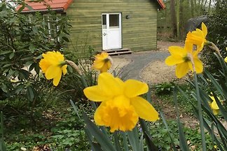 Vakantieappartement Gezinsvakantie Worpswede