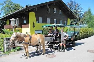 Terrassen-Ferienwohnung GILGEN