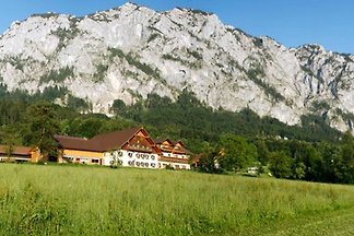 Ferienwohnung Steinbach am Attersee