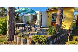 Hotel cultural and sightseeing holiday Zinnowitz