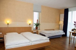 Hotel cultural and sightseeing holiday Freiburg