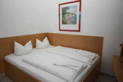 Albergo Cultura ed escursioni Dierhagen