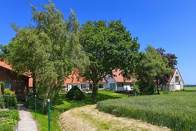 Ferienwohnung Schwalbennest