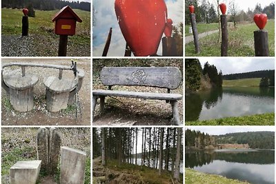 Ferienwohnung Naturliebe Harz