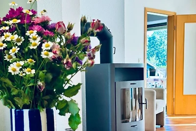grosses Ferienhaus mit Kamin in ruhiger Natur...