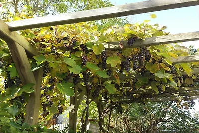 Villa Bismarckshöhe Wohnung Clara