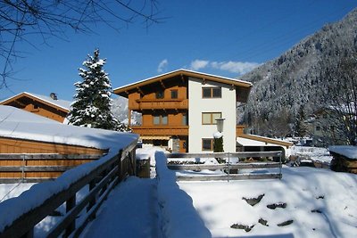 Appartamento Vacanza con famiglia Aschau im Zillertal