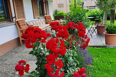 Vakantieappartement Gezinsvakantie Schoppernau