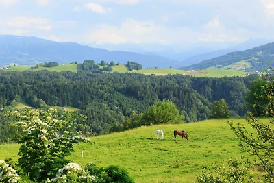 Ferienwohnung Sonnenschein