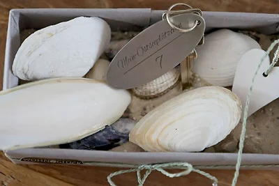 Ferienhaus Mein Ostseeplätzchen am Meer 7