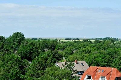 Wohnung 91 Gegen den Wind (ID 012)
