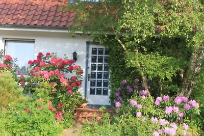 Ferienwohnung Amselstieg
