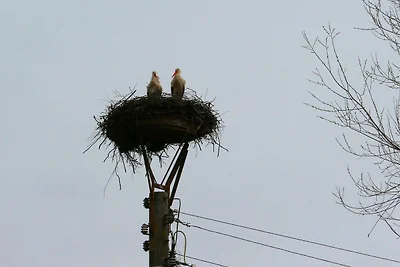 Vakantieappartement Gezinsvakantie Borrentin