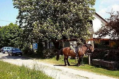 Albergo Cultura ed escursioni Miltenberg