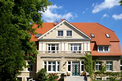 1 Zimmer-Appartement