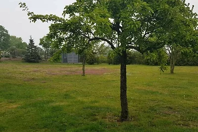 Appartamento Vacanza con famiglia Ueckermünde