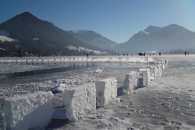 Vakantieappartement Gezinsvakantie Schliersee