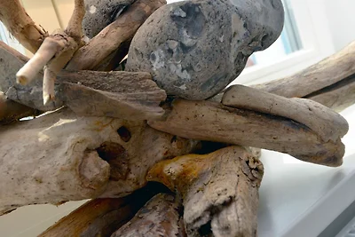 Dat Dörphus am Bodden | Wohnung 2