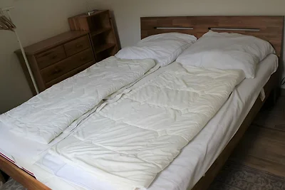 Appartement Moewennest