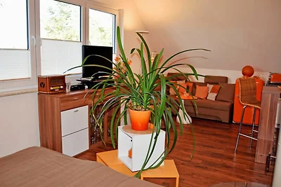 Ferienhaus Regenbogen mit Kamin und Terrasse