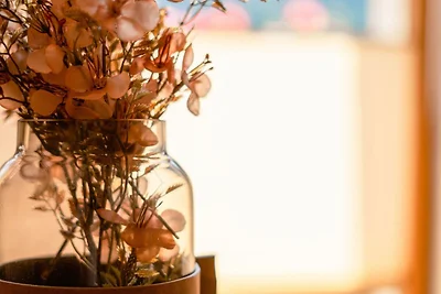 Appartamento Vacanza con famiglia Eisenberg