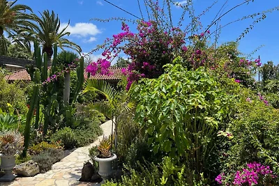 Vakantiehuis Ontspannende vakantie Los Llanos de Aridane