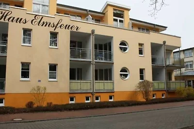 FeWo Reder SNR: 13