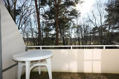 1-Raum (S2) App. 278