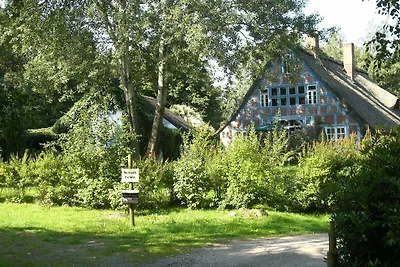 Ferienwohnung