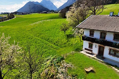 Alpenrehblick am Karwendelgebirge
