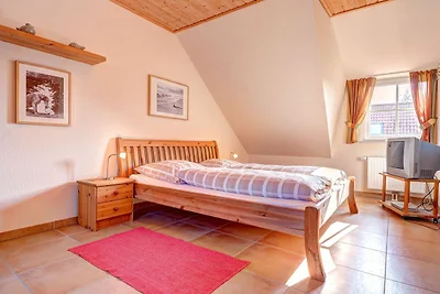 Albergo Cultura ed escursioni Butjadingen