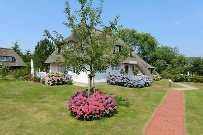 Vakantieappartement Gezinsvakantie Nieblum