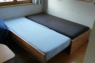 Appartamento Vacanza con famiglia Au in Vorarlberg