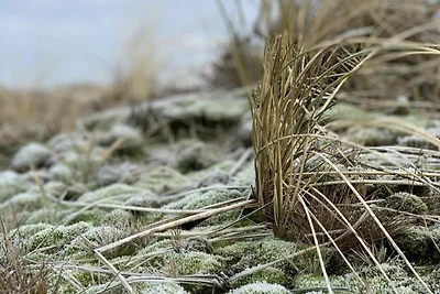 Heckermann Wenningstedt