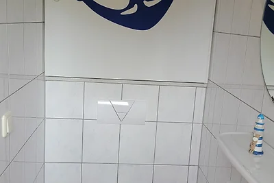 Kleine Möwe