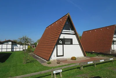Albergo Cultura ed escursioni Hollern-Twielenfleth