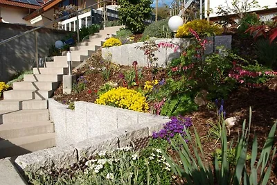 Appartement Vacances avec la famille Herbolzheim