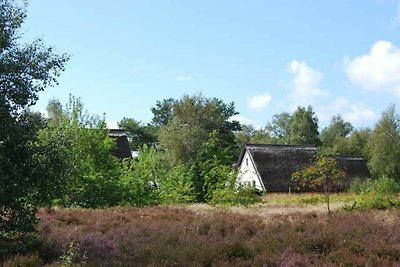 Albergo Cultura ed escursioni Hiddensee