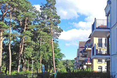 Baabe Villa Andrea Ferienwohnung Passat Ref.