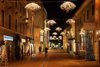 Hotel Cultuur en bezienswaardigheden Sankt Veit an der Glan
