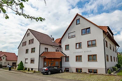 Hotel Cultuur en bezienswaardigheden Dettingen an der Erms