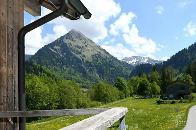 Appartamento Vacanza con famiglia Schoppernau