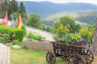 Hotel Cultuur en bezienswaardigheden Feldberg