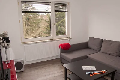 Ölhafen 1OG - drei Wohnungen in einem Haus
