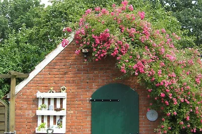 Erdgeschosswohnung