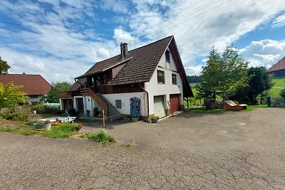 Vakantieappartement Gezinsvakantie Biederbach