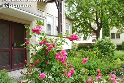 Appartement Vacances avec la famille Bad Harzburg