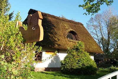 Reetdach Kastanienhaus (52m², 3-Raum, max 4...